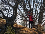 39 Maestosi faggi  sagomati ad arte dalla natura sulla cresta di vetta del Vaccareggio